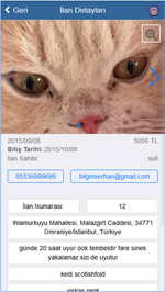 Mobil Uygulama: BitliBazaar